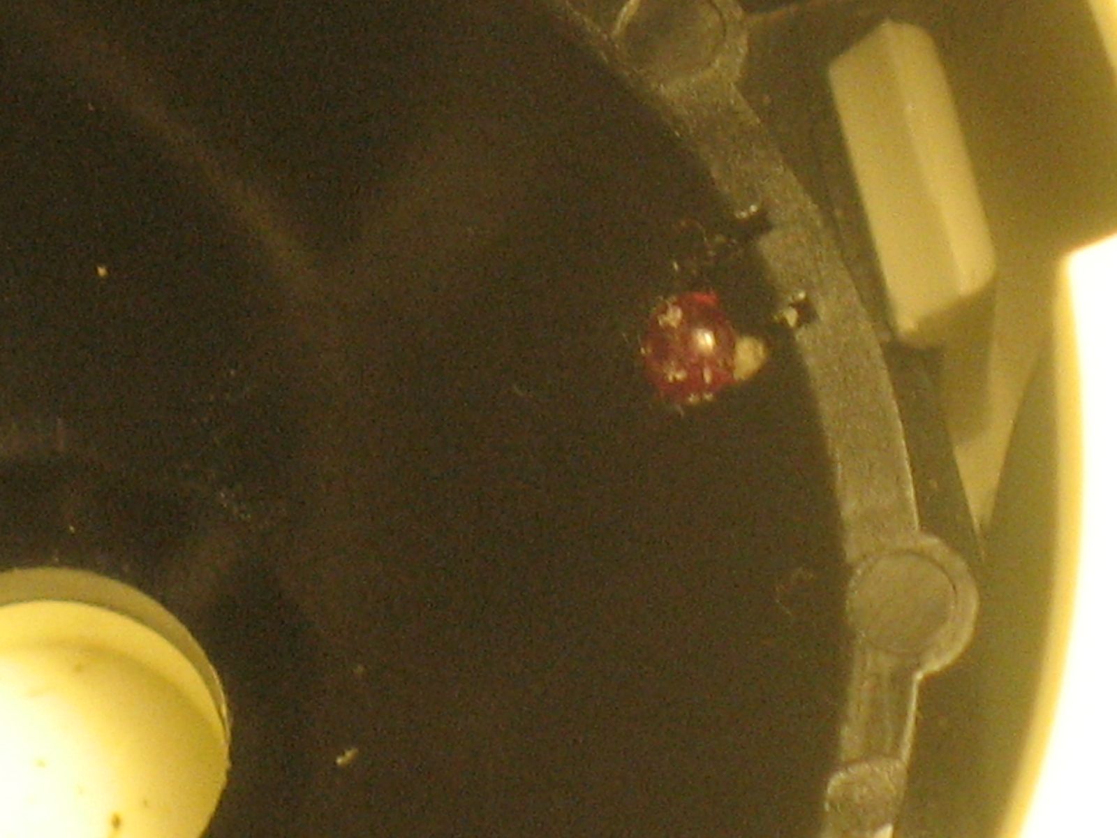 How to Clean a Older Trackball Mouse 7 Steps Instructables