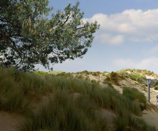 Central Office With Artificial Dunes