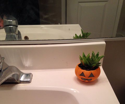 3D Printed Mini Jack O’Lantern Planter