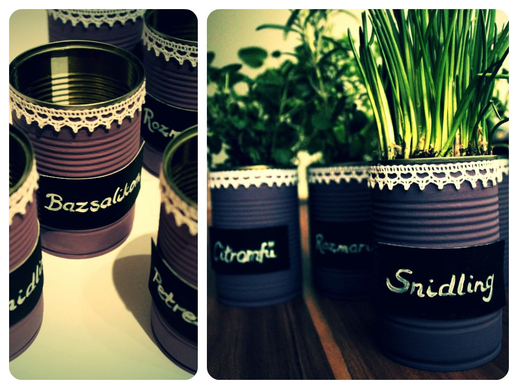Tin Can Pots for Herbs