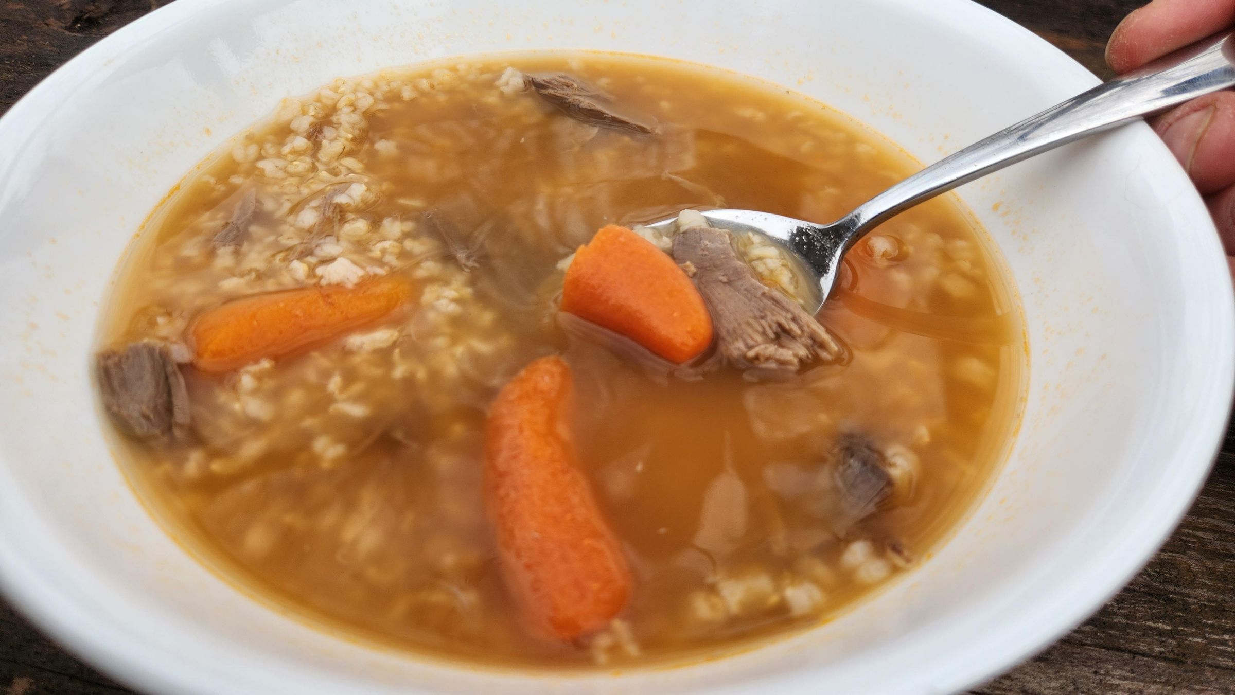 Hunters' Special Wild Game Soup 4 Steps Instructables