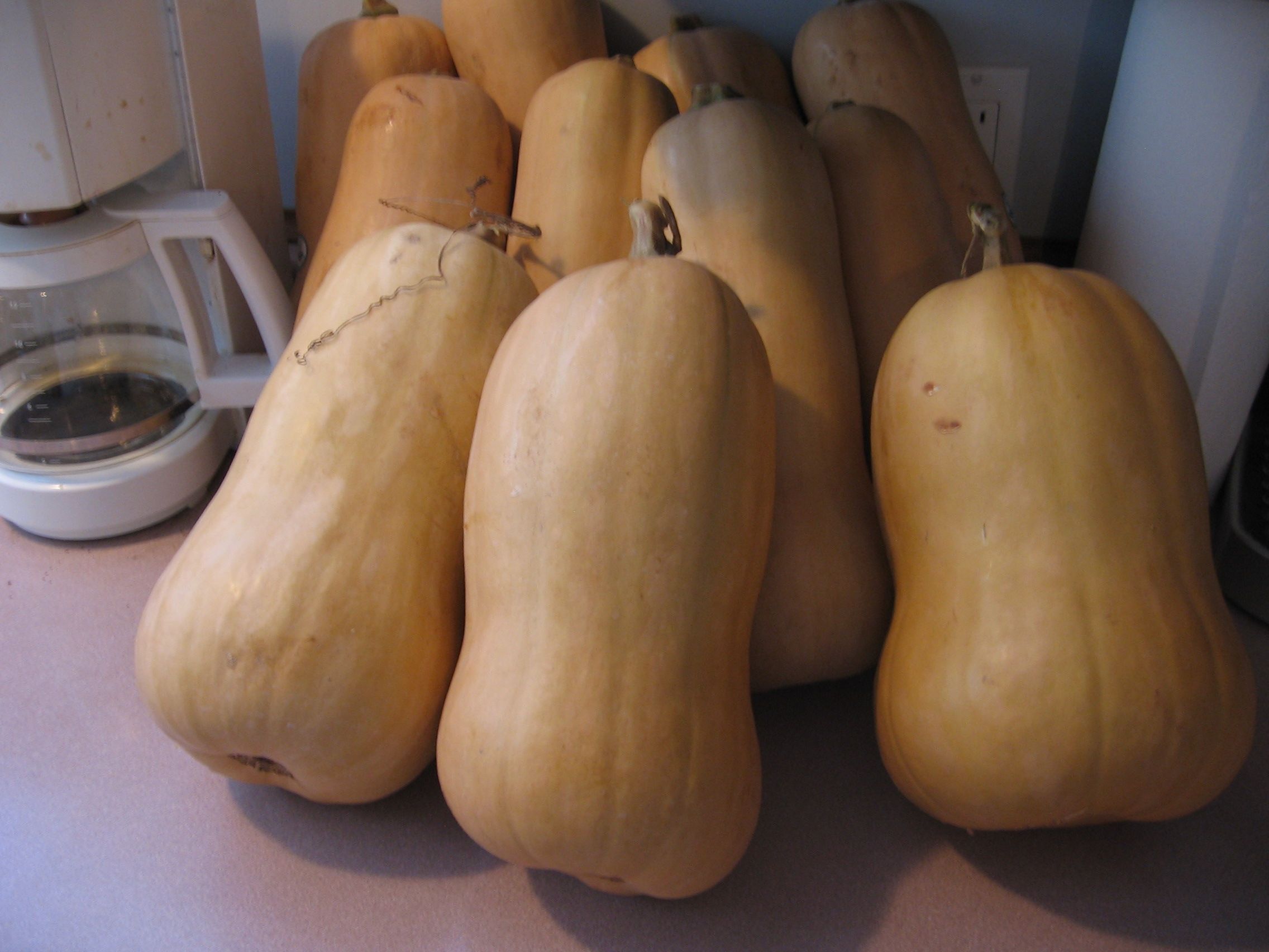 Crazy About Butternut Squash!!!!