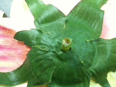 Flower Fun