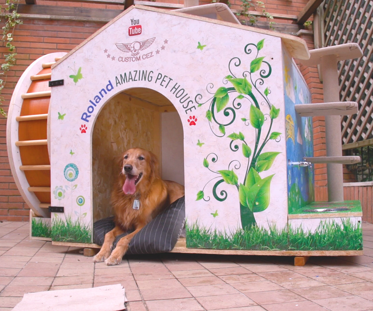 Roland Amazing Dog House