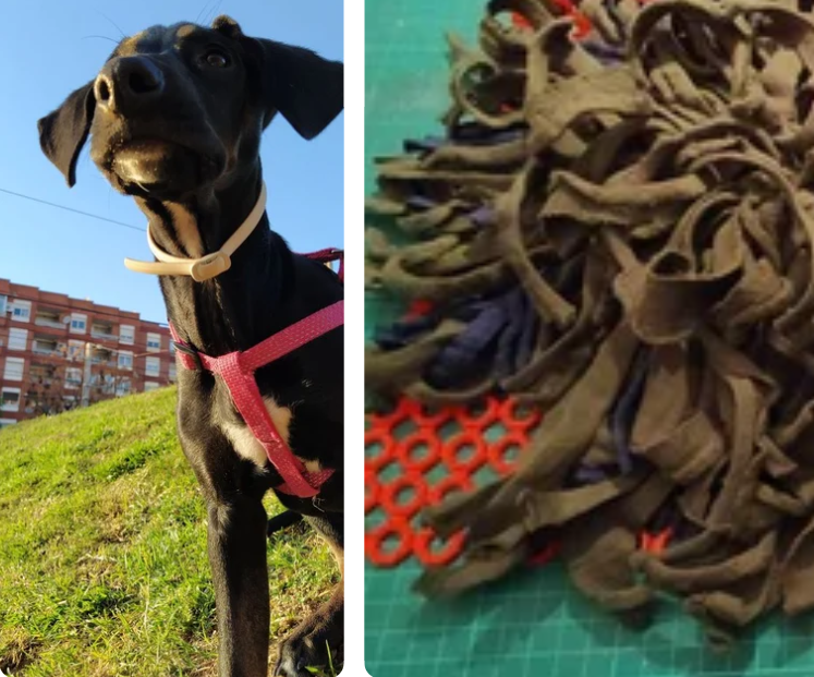 Crazy Puppy....... Slow Feeder