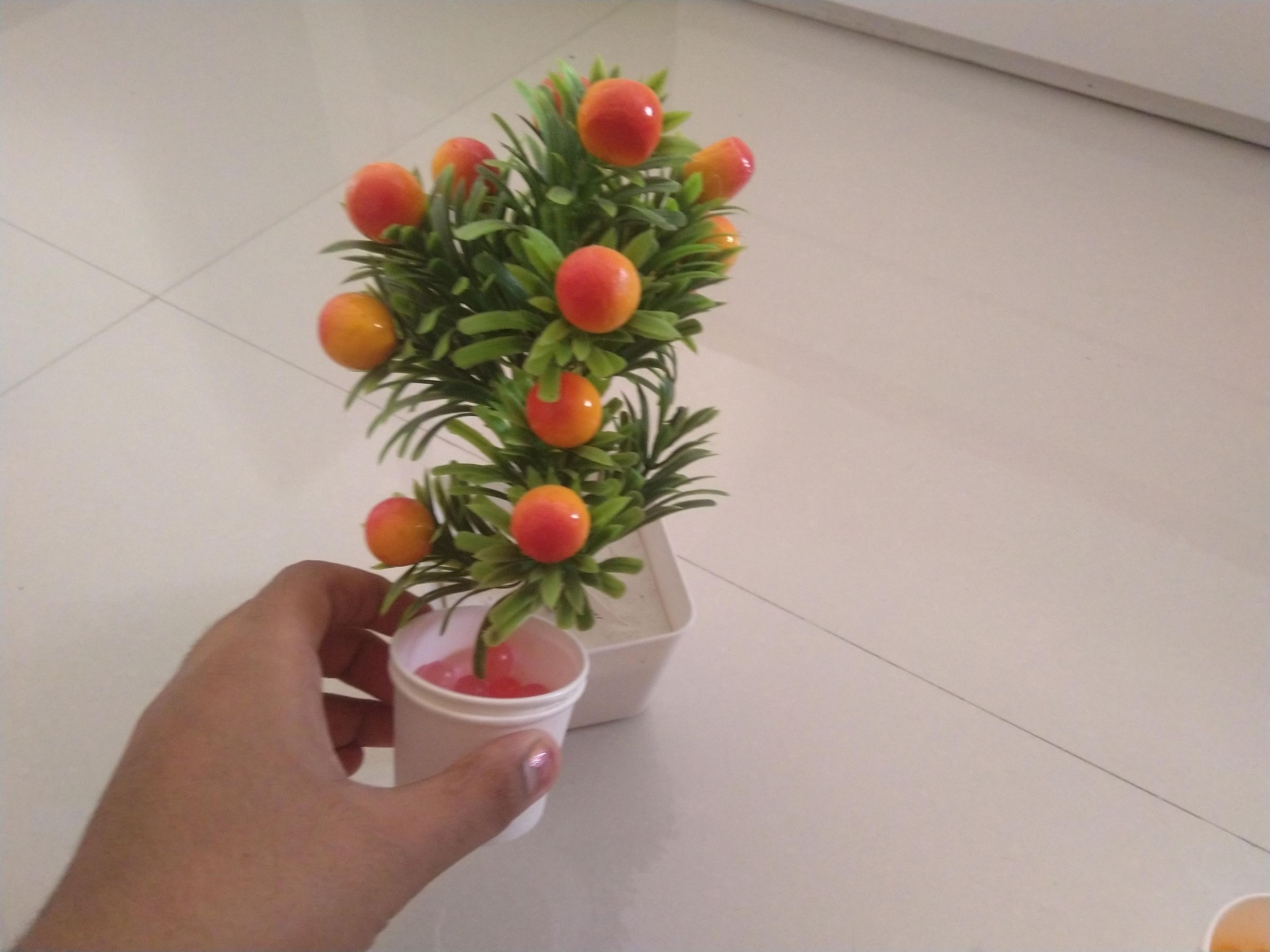 Orbeez Plant Instructables