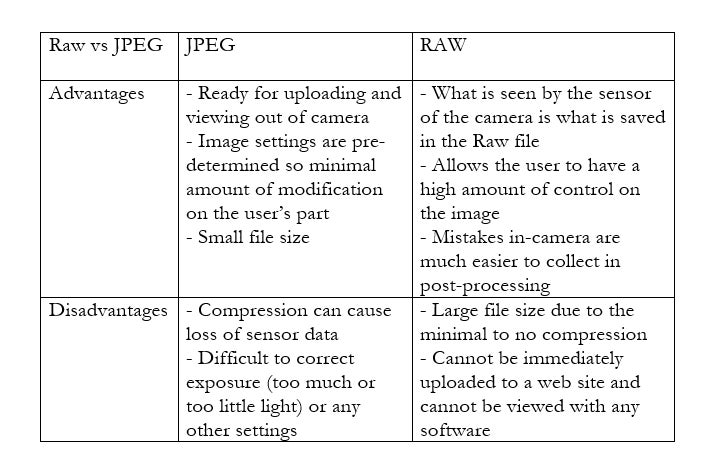 What's the Big Deal About Raw Files Anyway? What's the Big Deal About Raw Files Anyway?