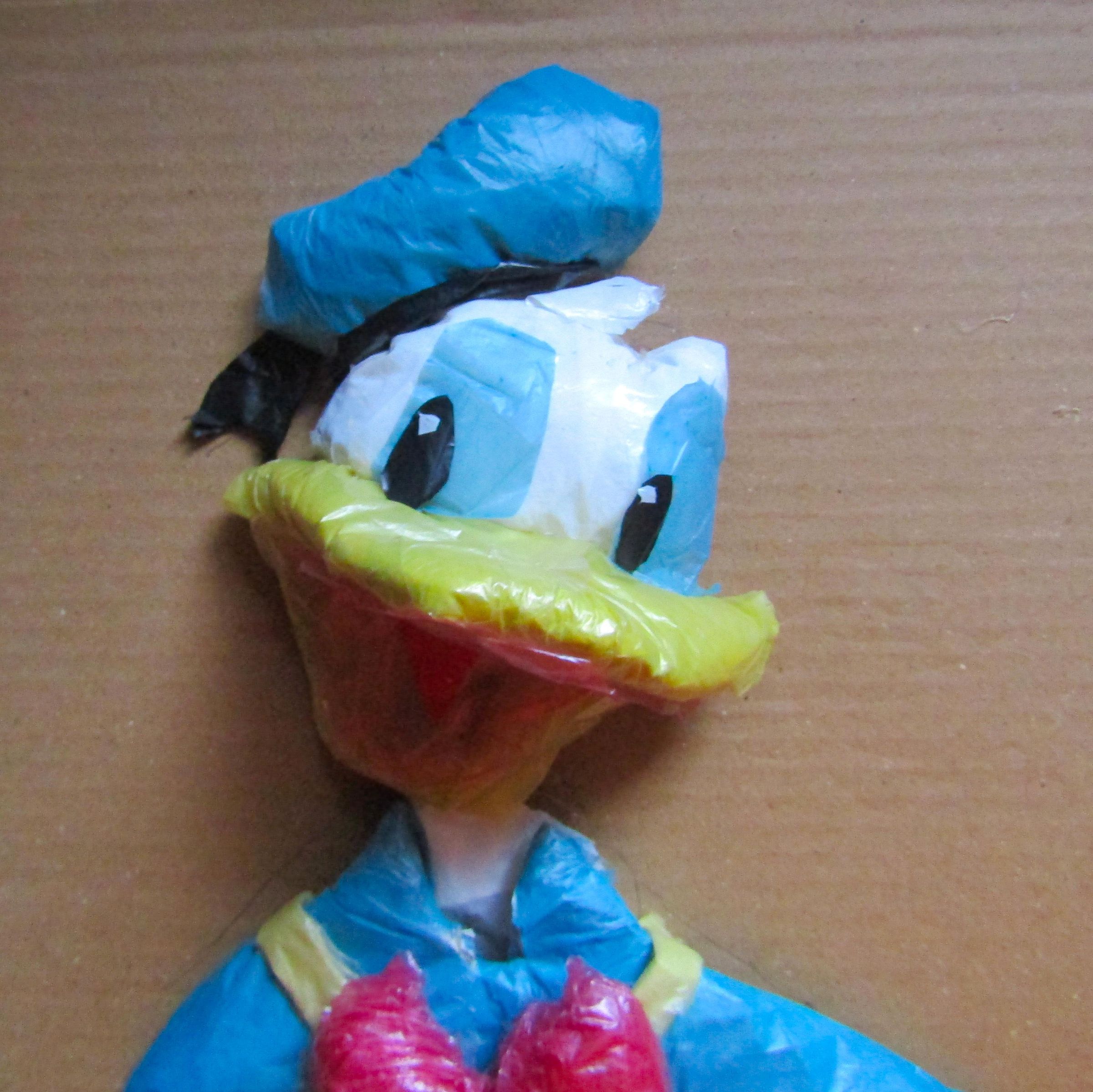 Donald Duck With Old Plastic Bags and Newspapers 