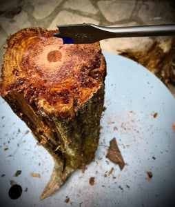 Drill Holes in Wood "Stems" 