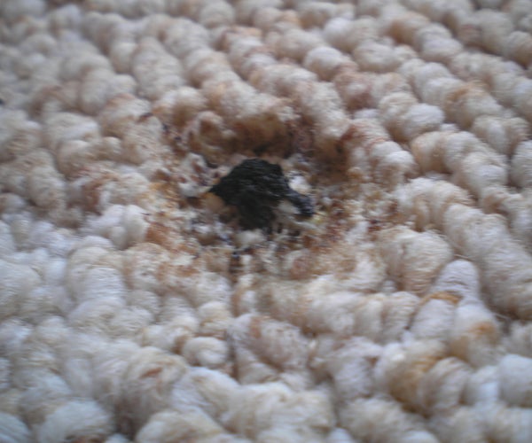 Repair Cigarette Burns on Carpet