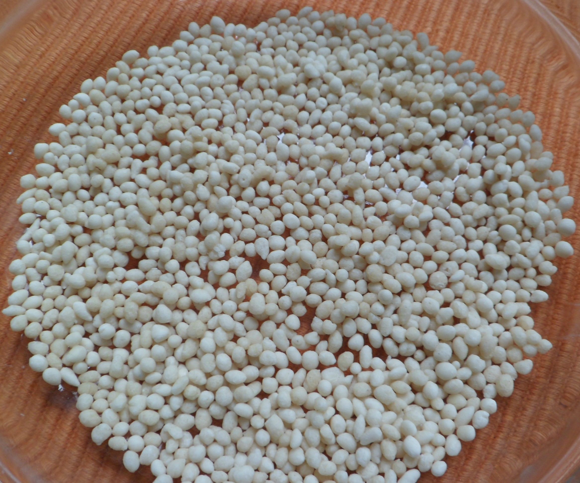 Sun Dried Home Made Mini Noodles for Dessert