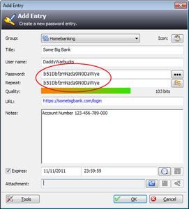 Website Passwords