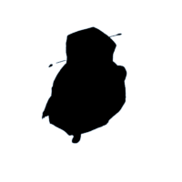 download {{ file.name }}