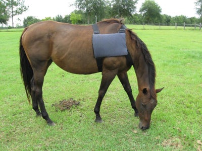 Adding the Elastic Straps and the Buckle