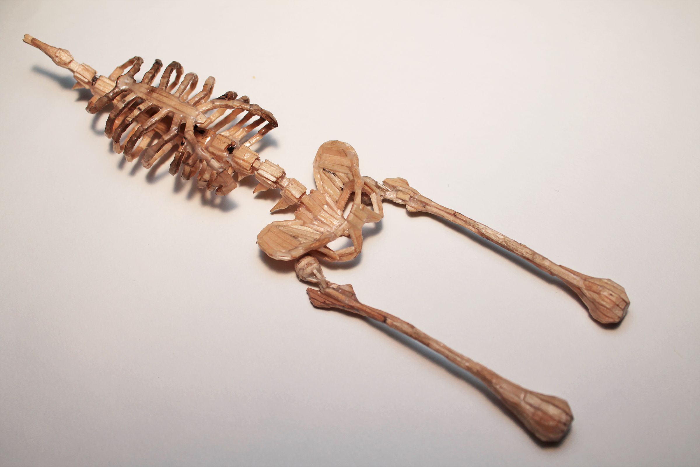 dollar bill skeleton