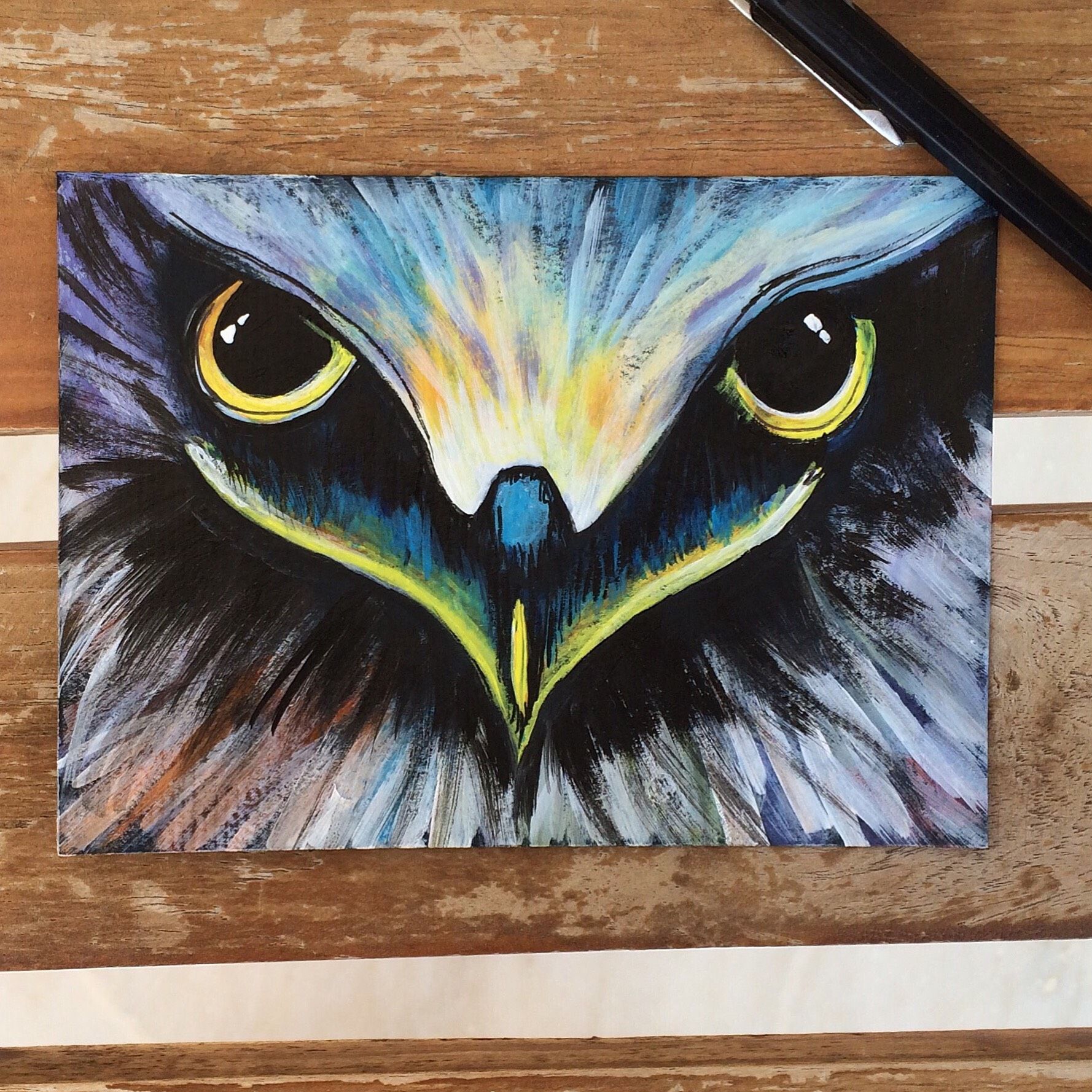 Diy Acrylic Painting of Eagle Eye