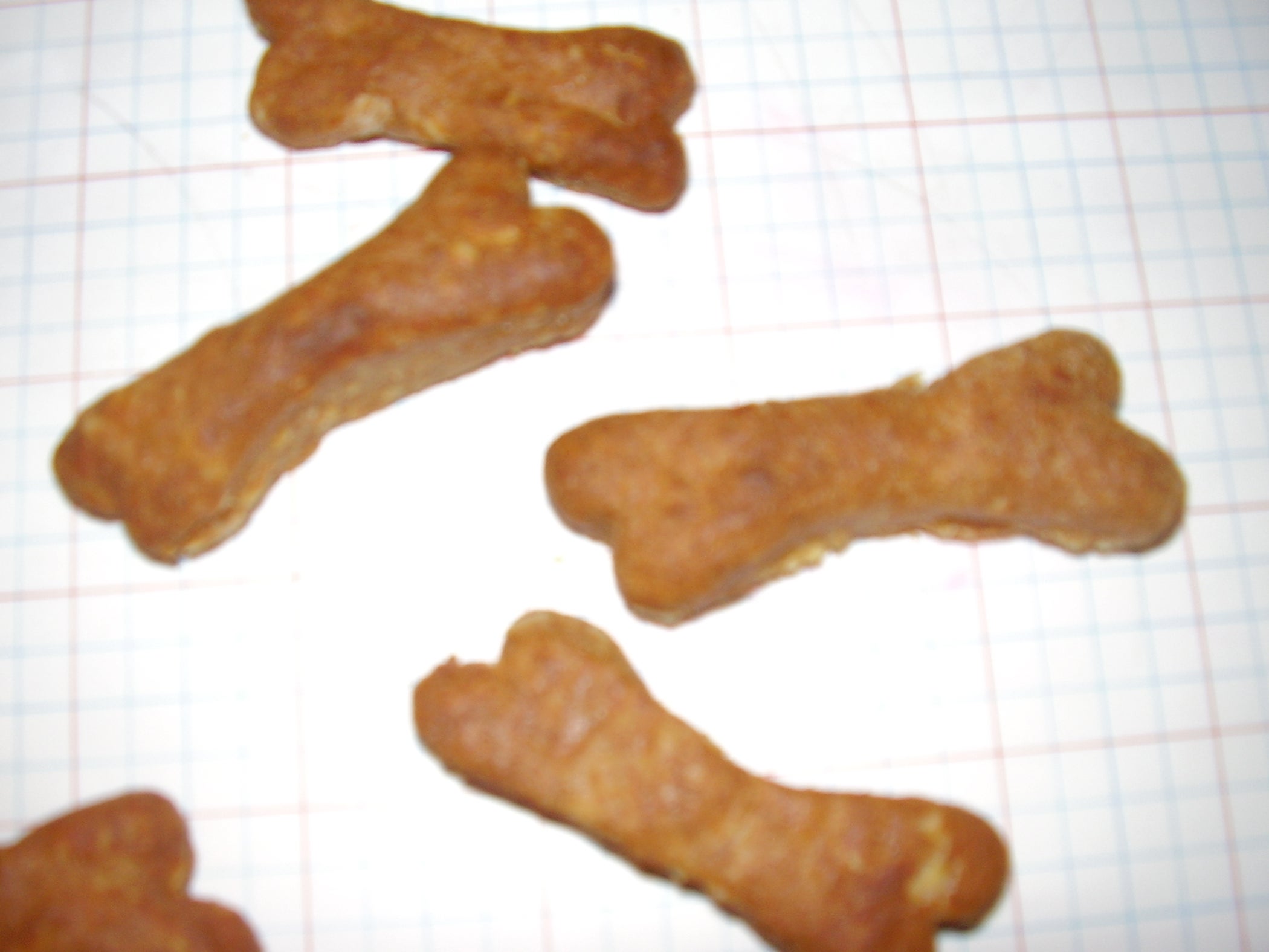 Dog Biscuit (cookie) Cutter From Soda Can 14 Steps Instructables