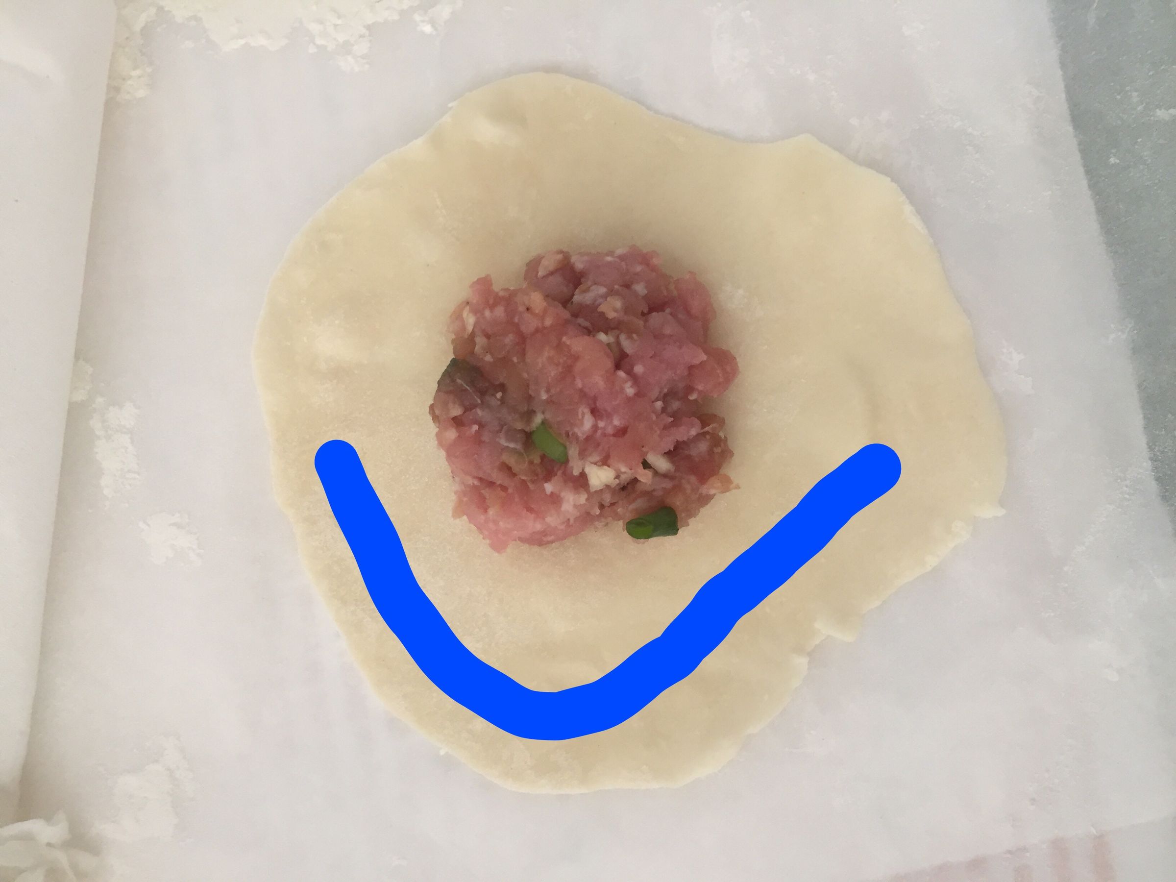Crispy Pork Dumplings (From Scratch!) 14 Steps (with Pictures