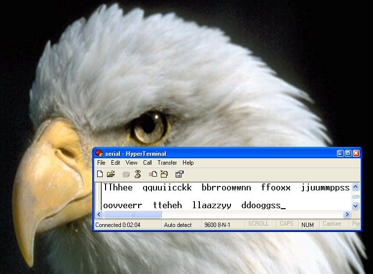 The Serial Port - Software Setup