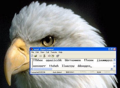 The Serial Port - Software Setup