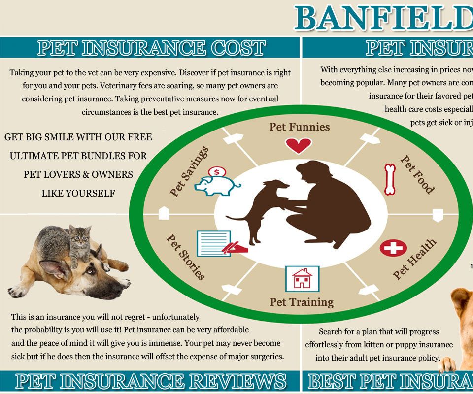 Banfield Pet Insurance