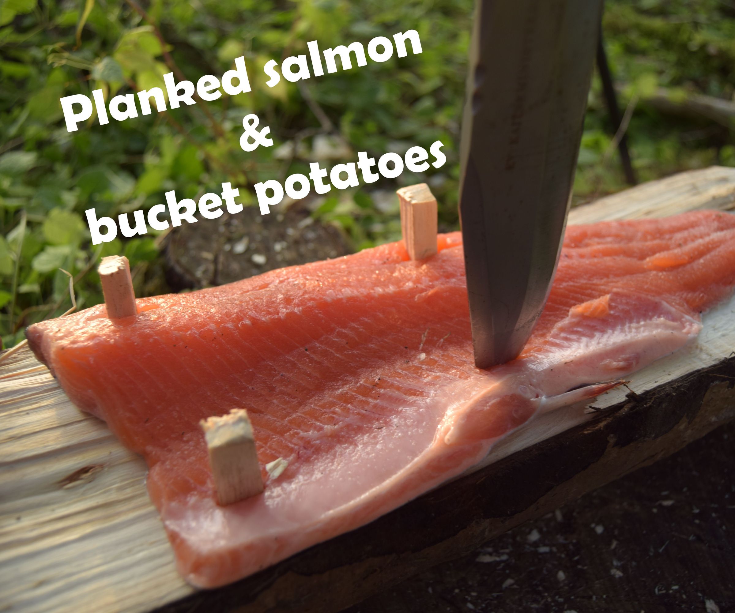 Campfire Planked Salmon & Bucket Potatoes
