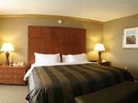 Visit Edmonton for the Attractions and Sight Seeing Opportunities
