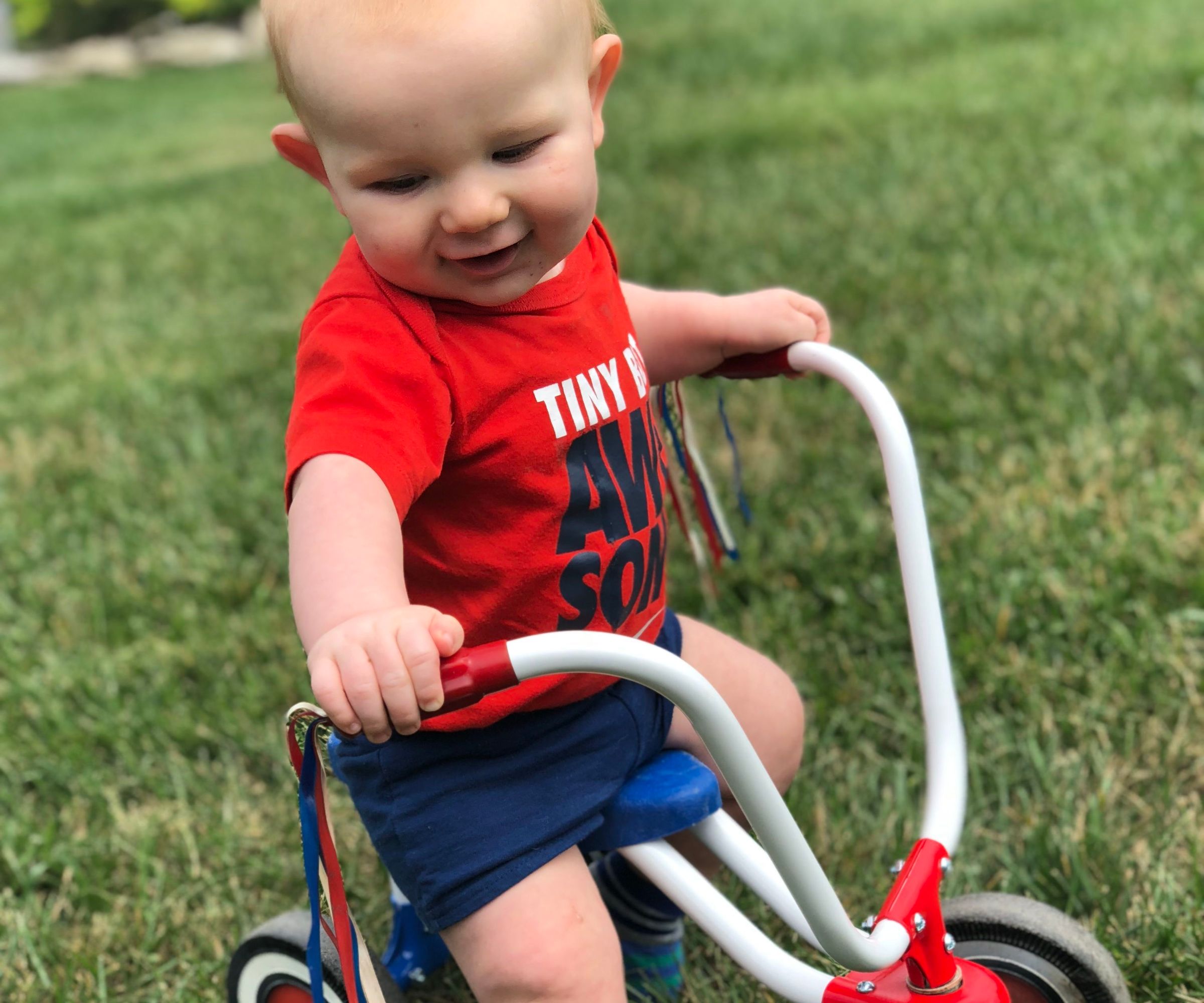 Toddler Push / Kick Bike Restore