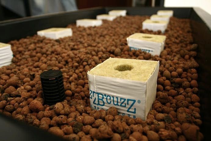 Hydroponics Grow Kit - Ebb and Flood