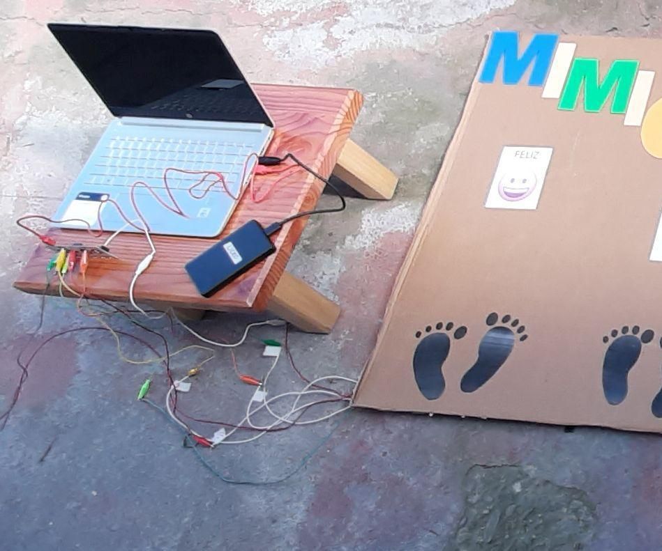 Mímica De Las Emociones