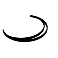 download {{ file.name }}