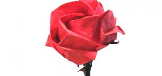 Origami Paper Rose - Video Tutorial