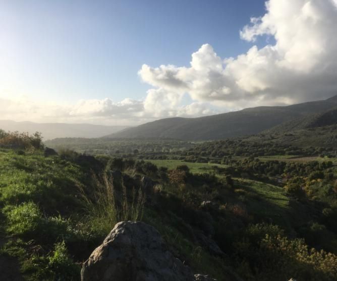 How to Wake Up Like a God? LYO.