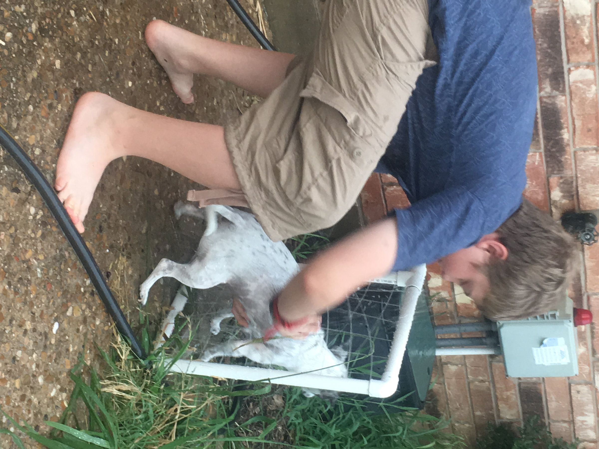 PVC Dog Washing Station! : 5 Steps (with Pictures) - Instructables