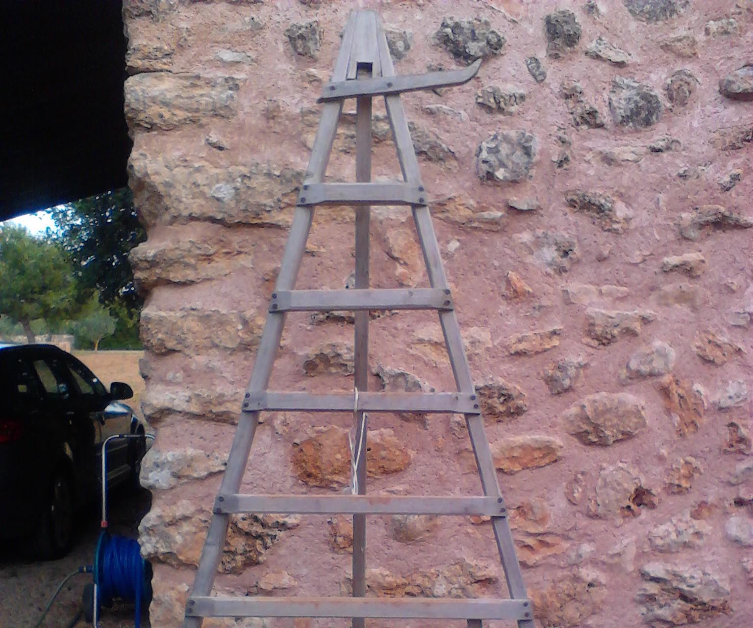 Orchard Ladder 