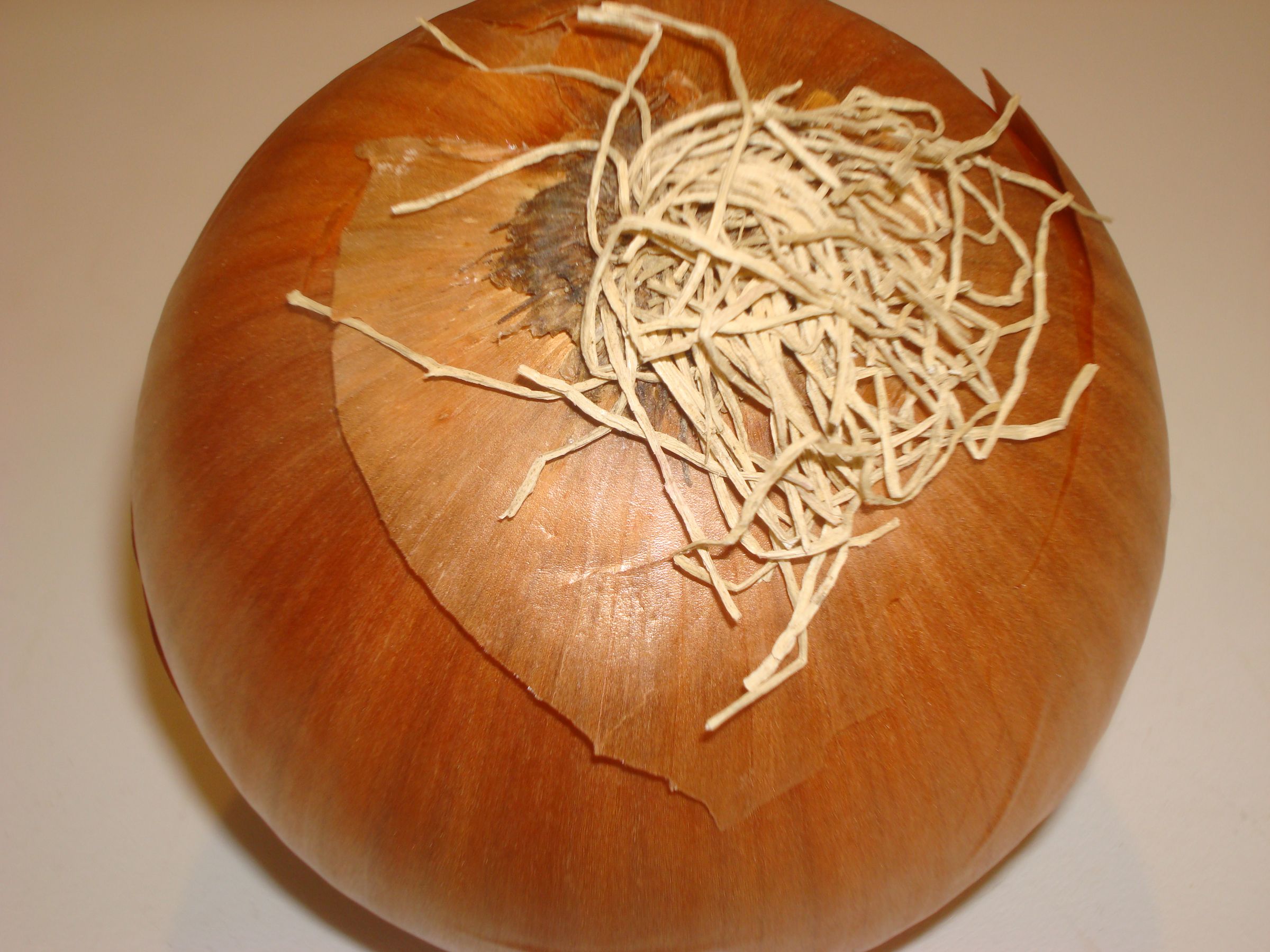 How to cut an onion without crying 6 steps instructables