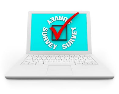 How Online Surveys Work