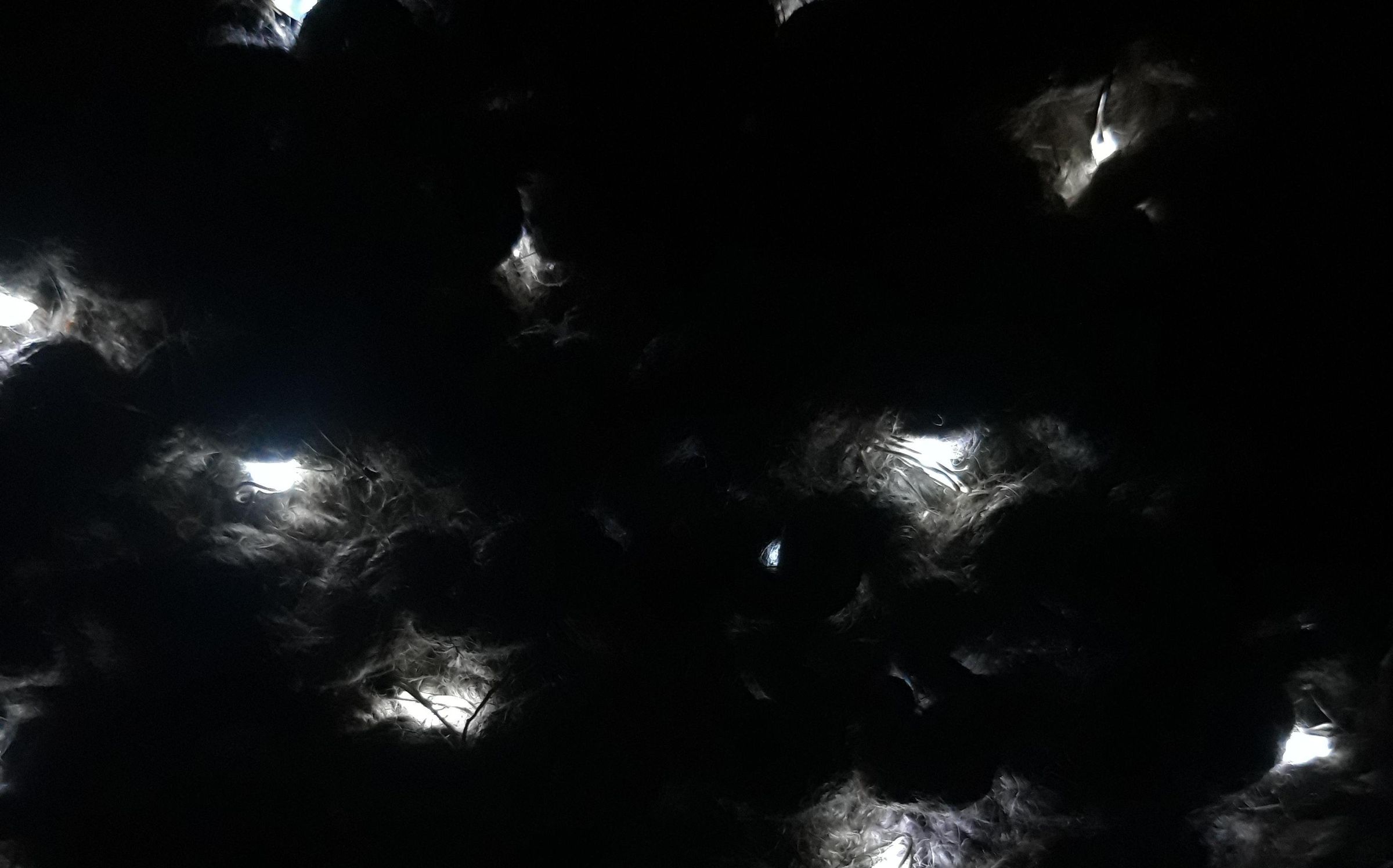 Light Decor