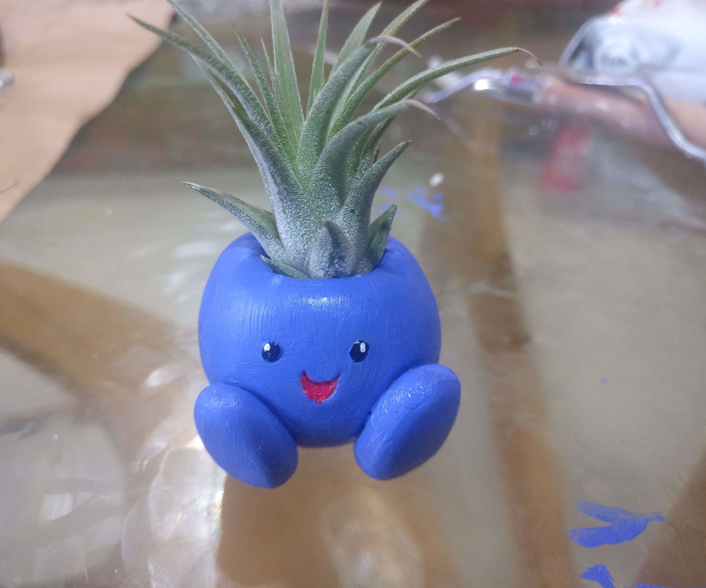 Oddish! a Tillandsia Planter