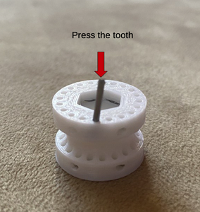 Gear Teeth