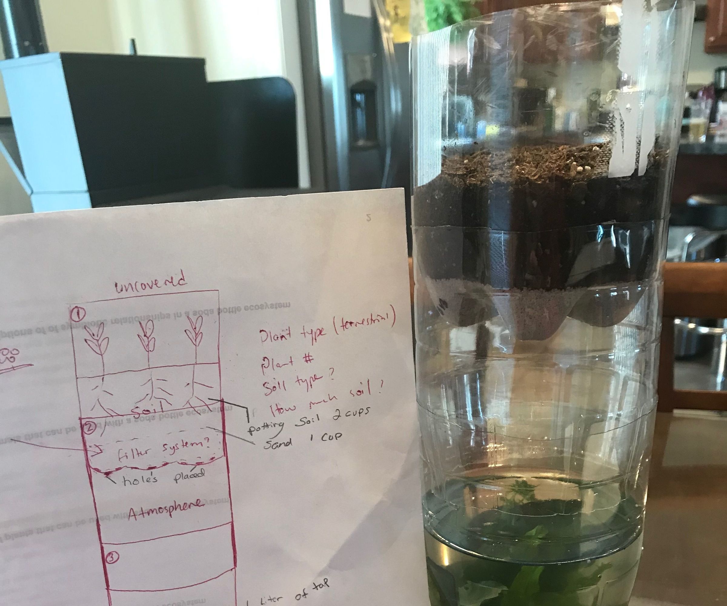 Ecosystem in a Bottle