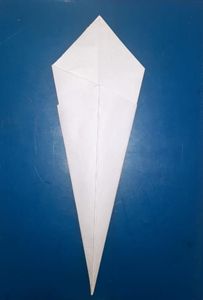 Fold the Both Sides Towards the Crease in the Center.