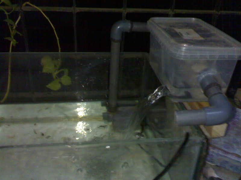 Diy Aquarium Top Filter 4 Steps Instructables