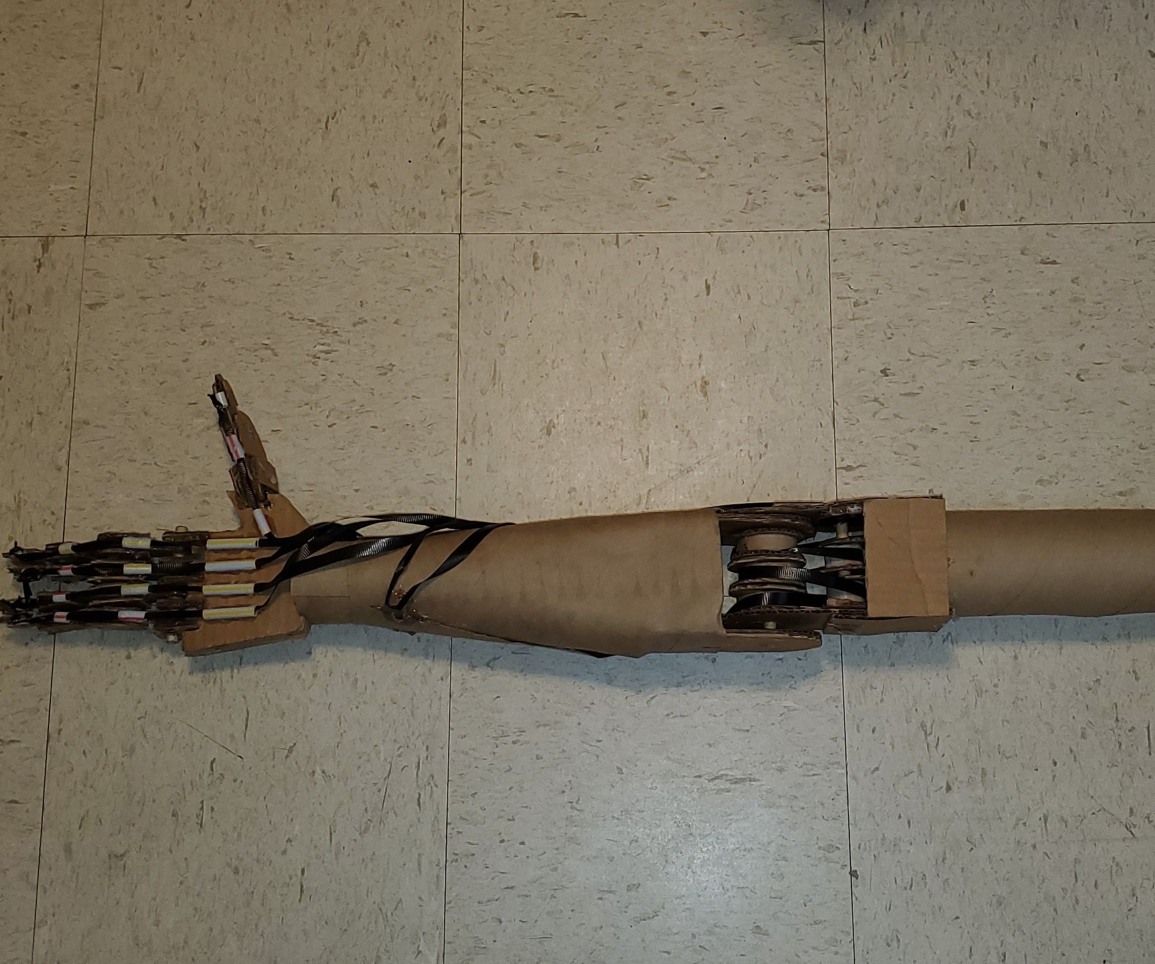 The Lazarus Arm