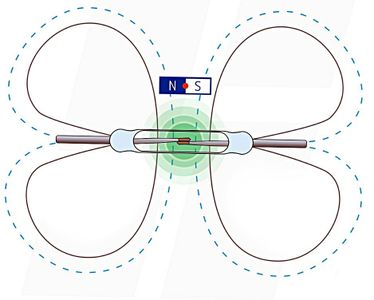 Reed Switch