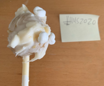 S'mores Cake Pop #HMS2020