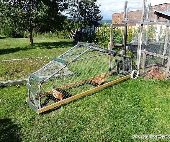 Chicken Tractor - Mobile Chicken Coop From Recycled Car Shelter Frame