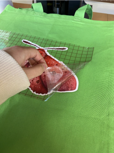 Remove Transfer Paper and Bag Is Finished!