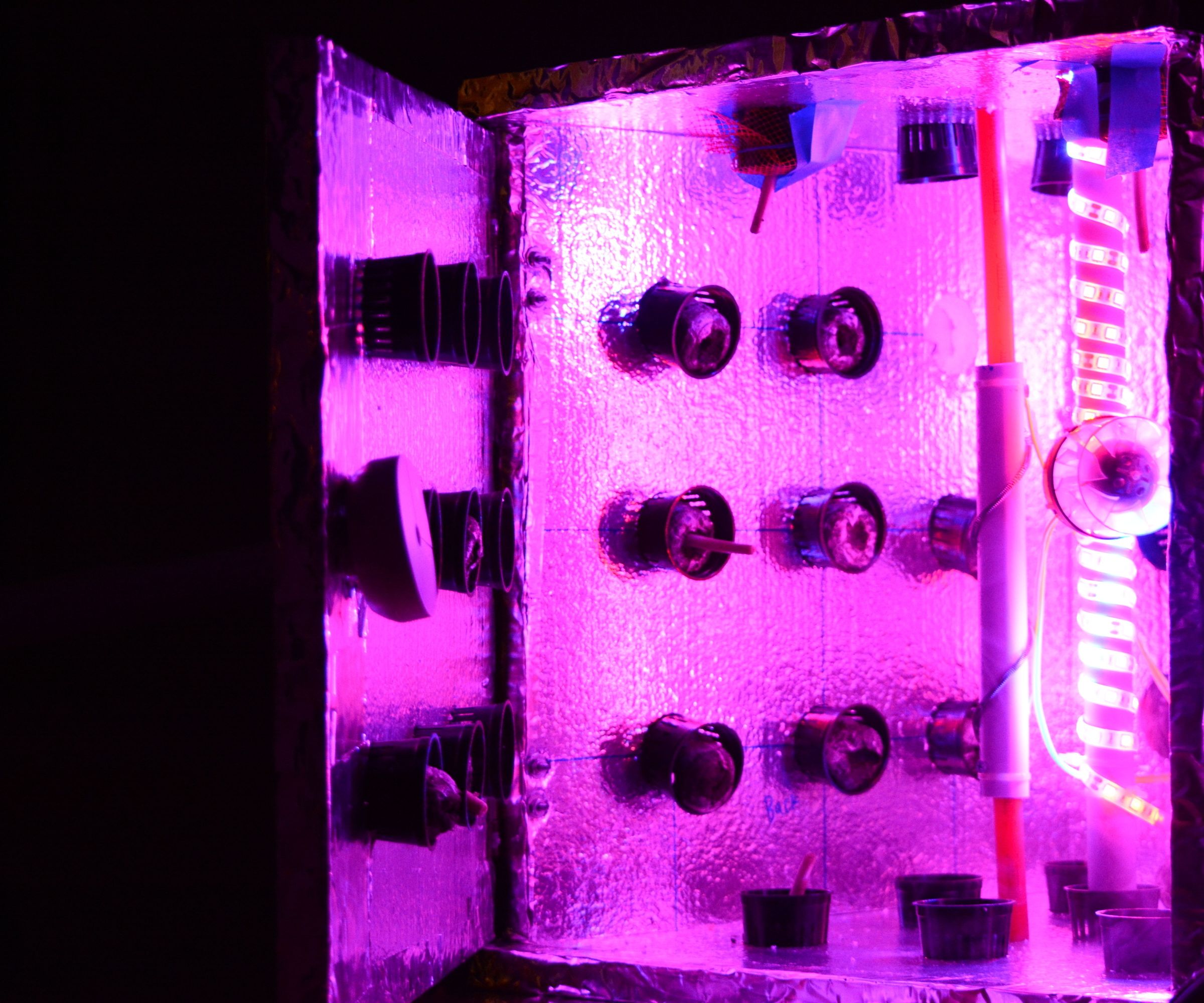 Zero-Gravity Grow-Cube