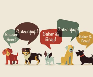 A Couple of the Fundamental Pet Things Every Canine Proprietor Must Have